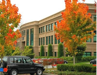 應(yīng)用于露天停車(chē)坪美國(guó)紅楓景觀(guān)